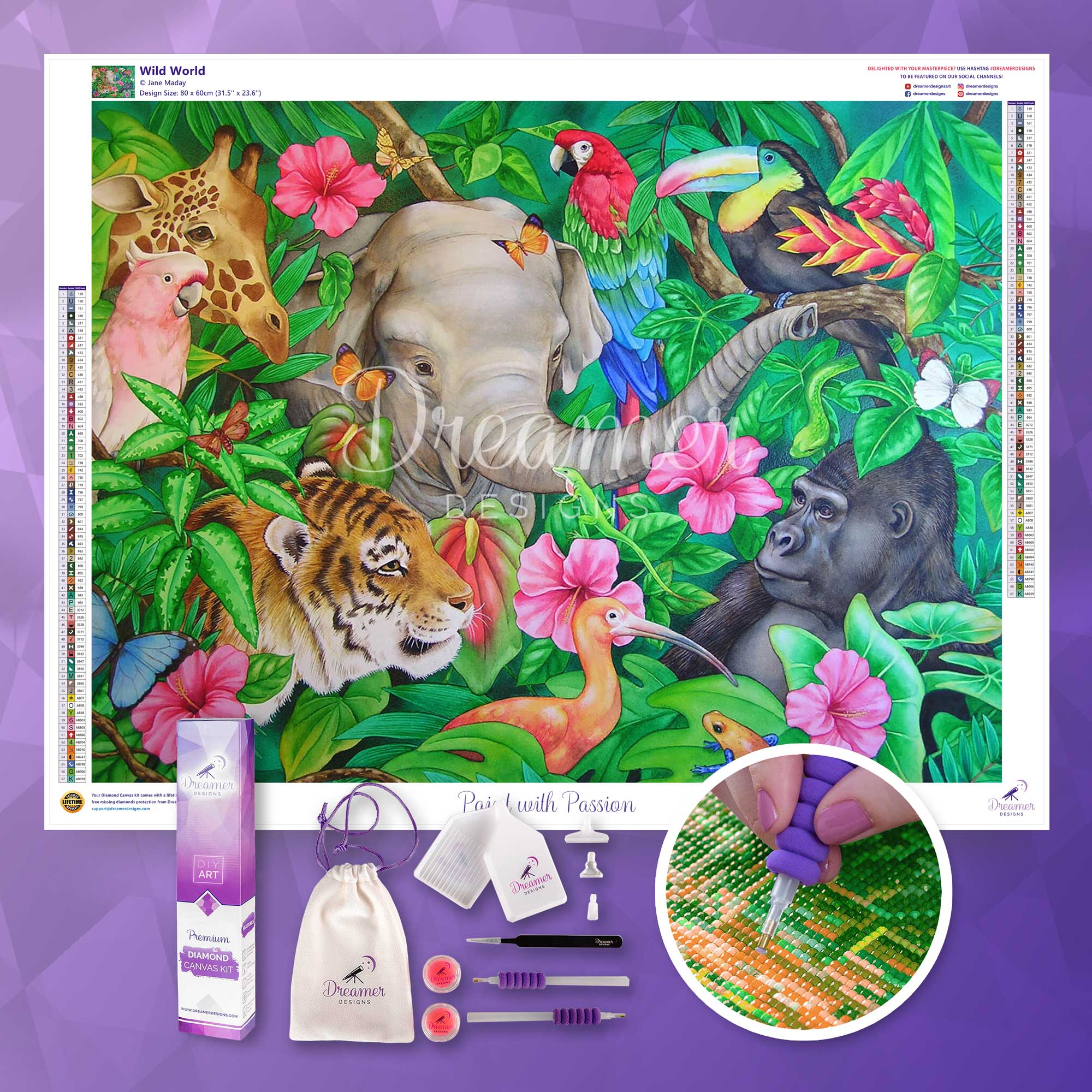 Wild World - Image 3