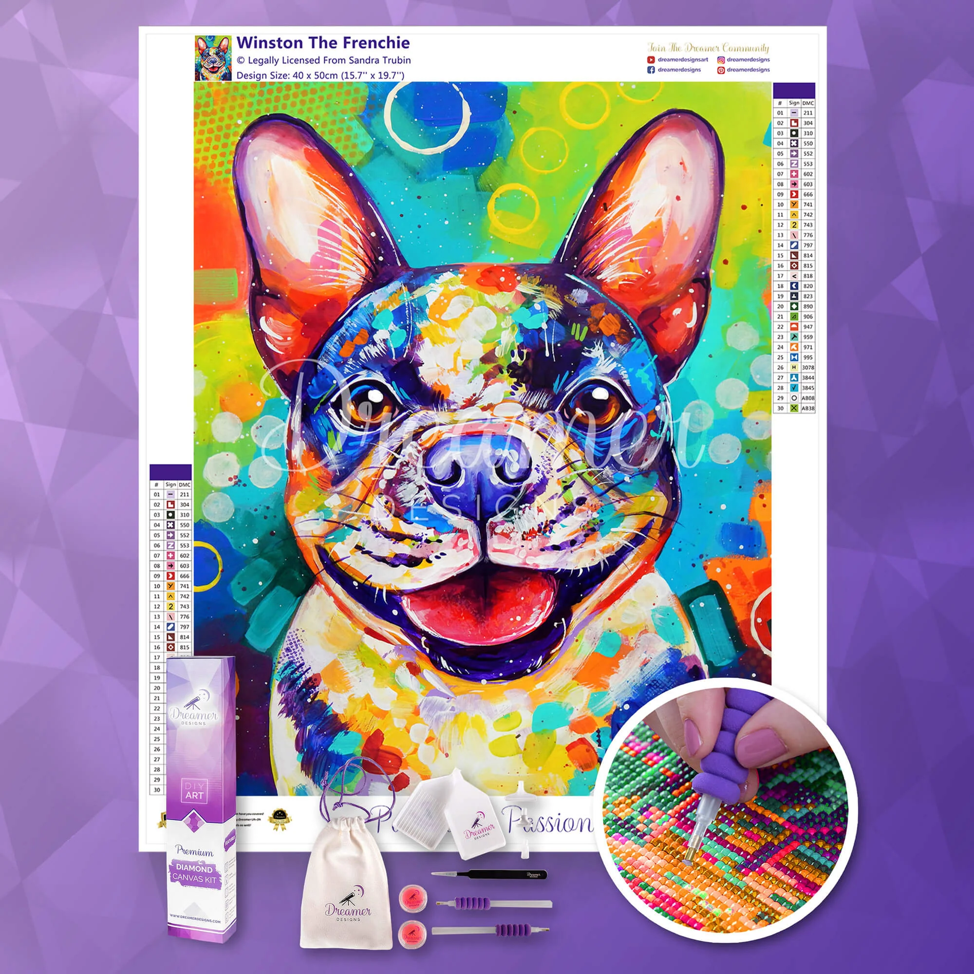 Winston The Frenchie - Image 3
