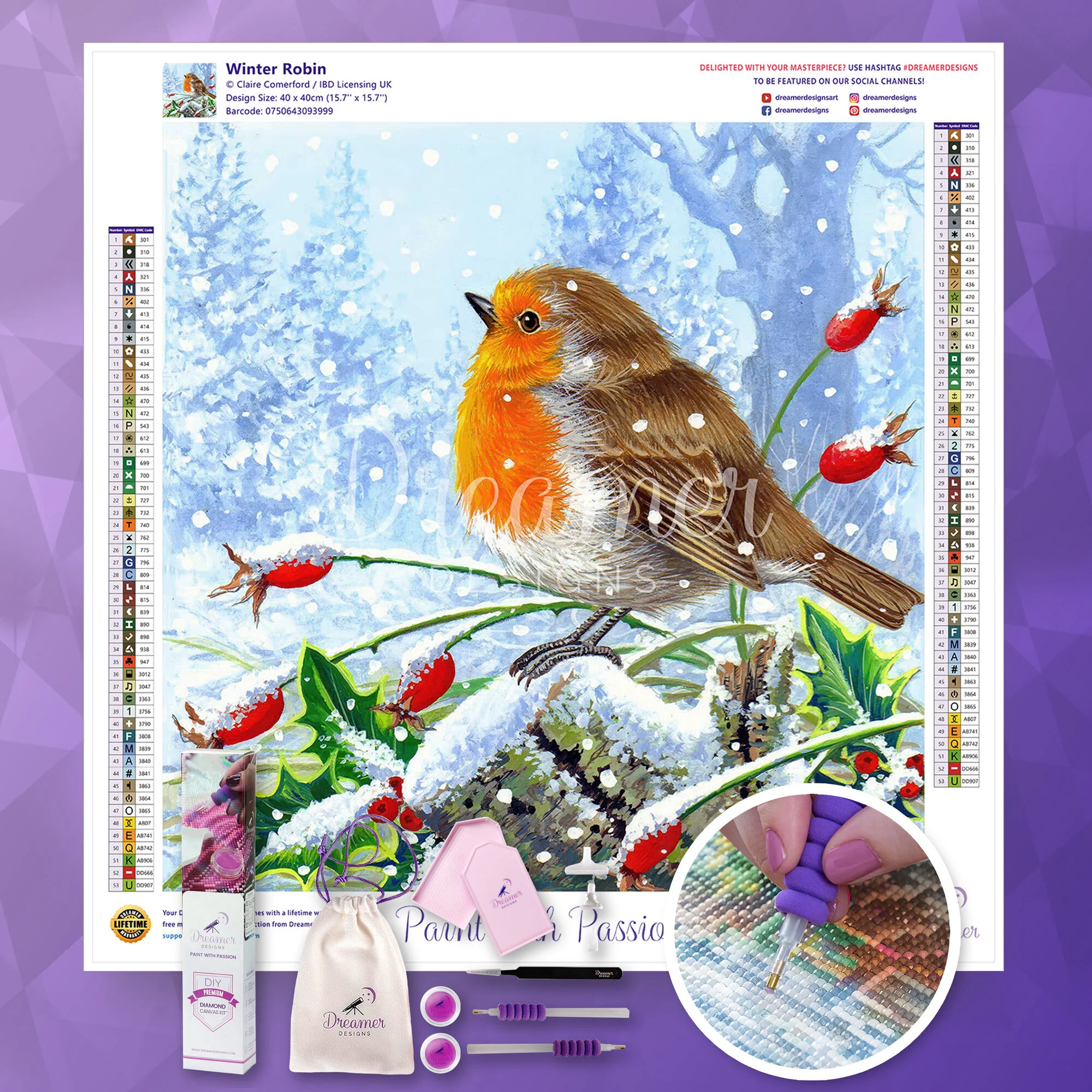 Winter Robin - Image 4