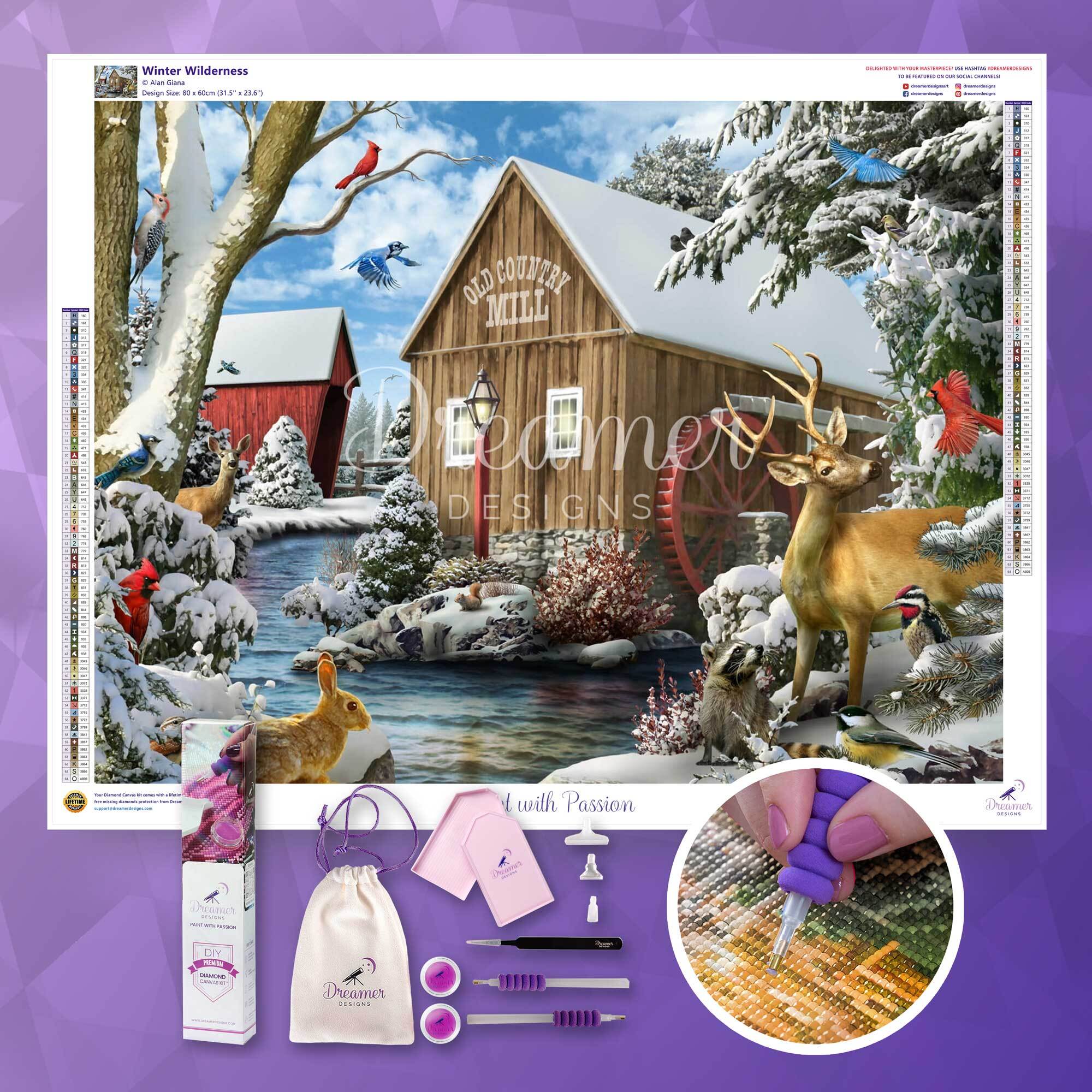 Winter Wilderness - Image 3