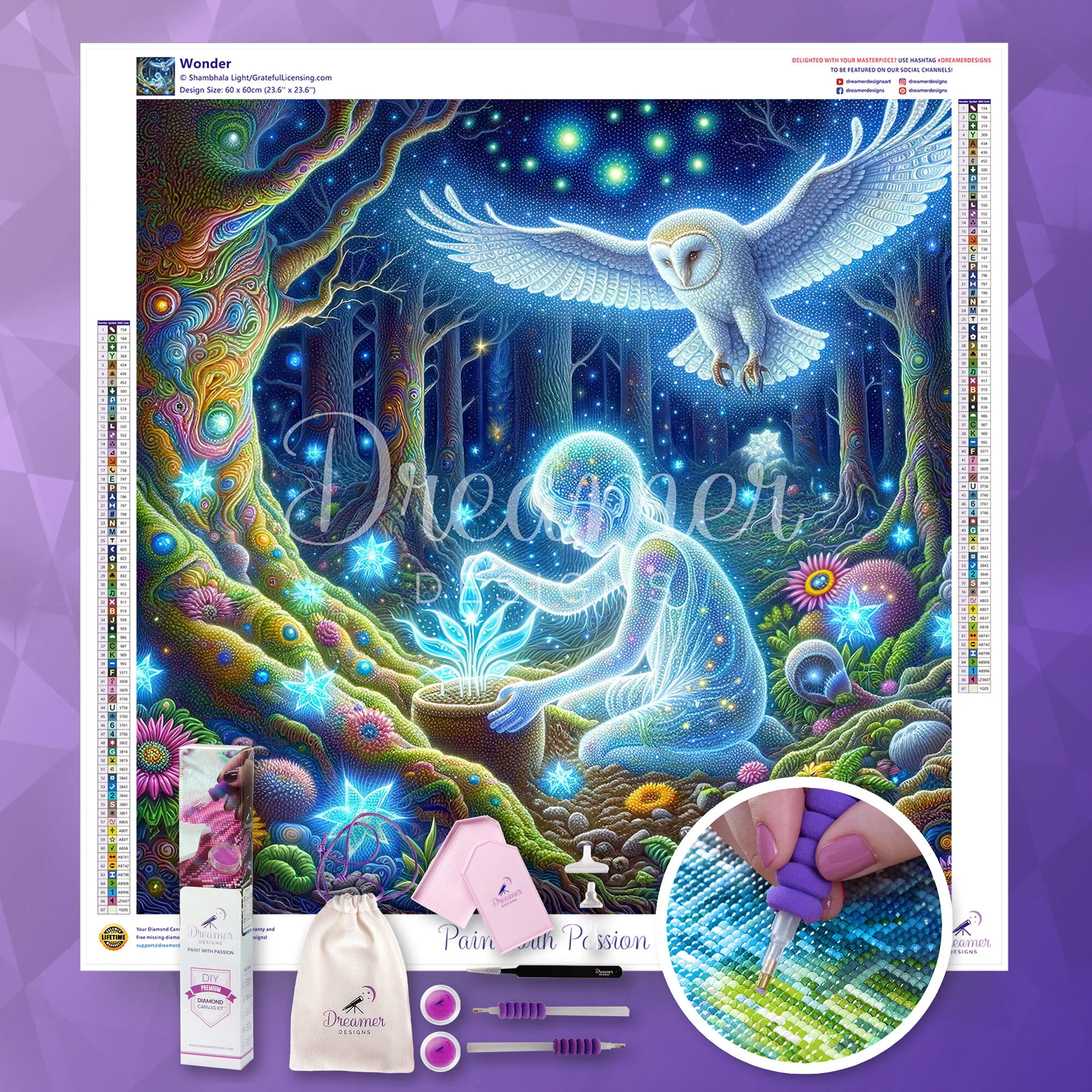 Wonder - Image 3