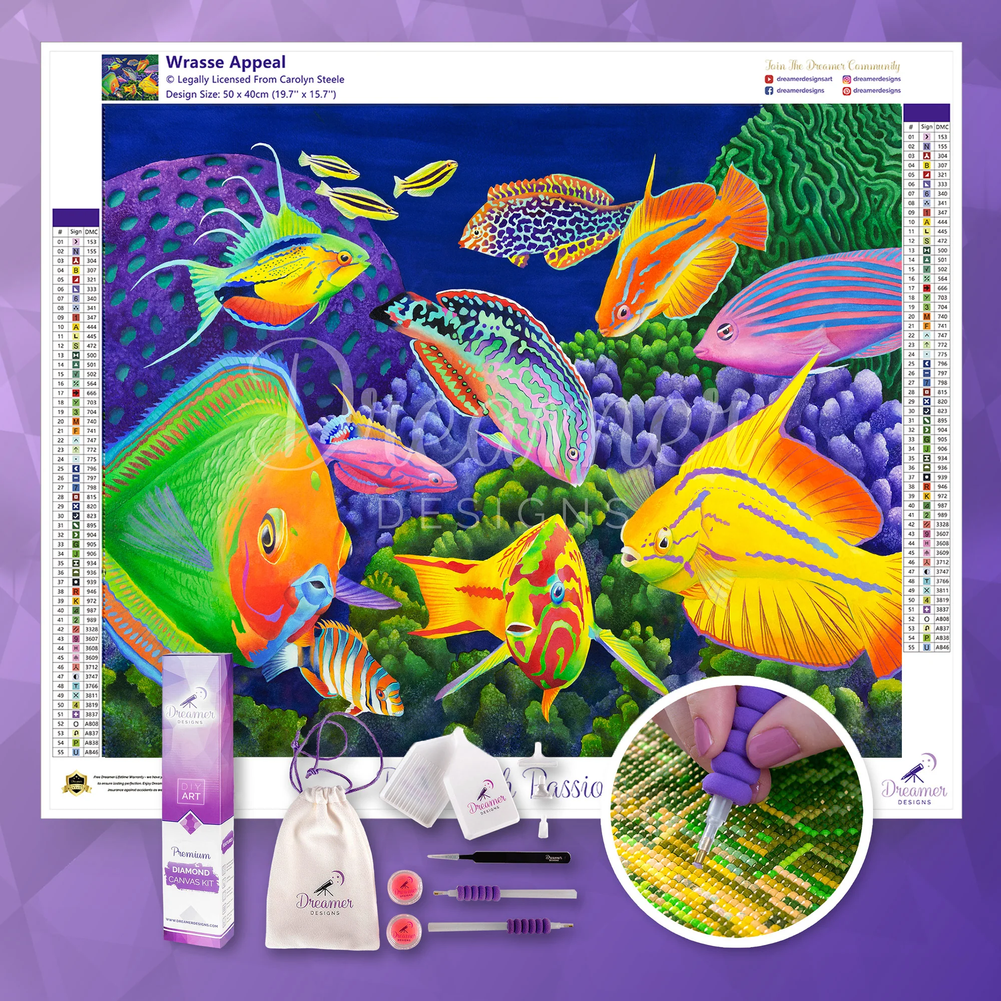 Wrasse Appeal - Image 3